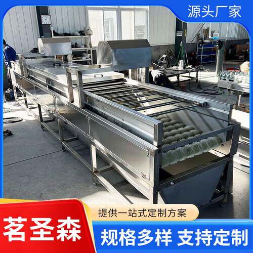 全自动气泡式果蔬清洗机豆角喷淋洗菜机大蒜生姜清洗机厂家定制