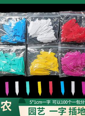 100只农业花卉园艺多肉植物塑料一字形多肉标签地插防水小号插牌