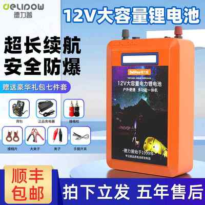 德力普12V锂电池电瓶大容大功率充电器磷酸铁锂24伏户外移动电源
