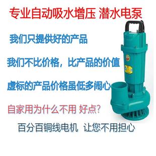 潜水泵家用220V小型浇菜抽水机太阳能增压泵高扬程4寸排污抽水泵