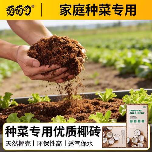 进口椰砖营养土种菜通用型肥料爬宠专用保暖垫材脱盐进口椰砖