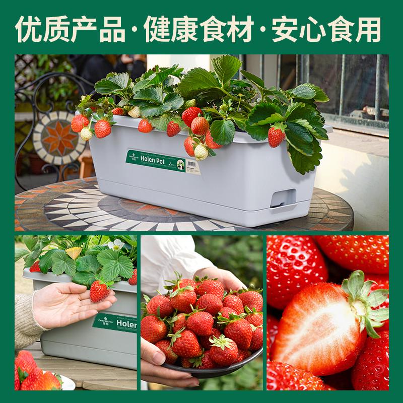 阳台种菜盆长方形塑料花盆家用窄边种菜神器蔬菜草莓专用大种植箱