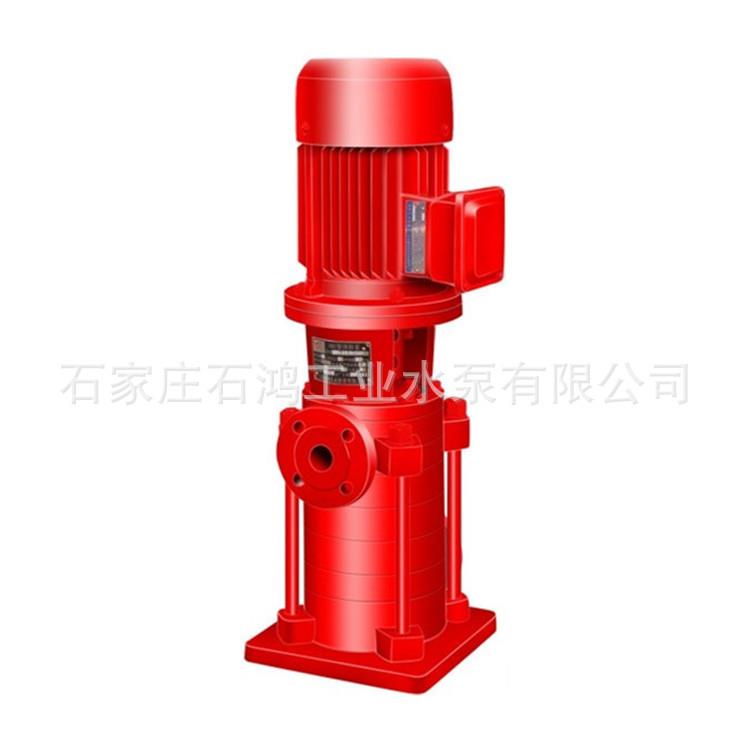 石鸿牌立式多级泵锅炉给水泵厂家提供选型50DL12X7型号齐全