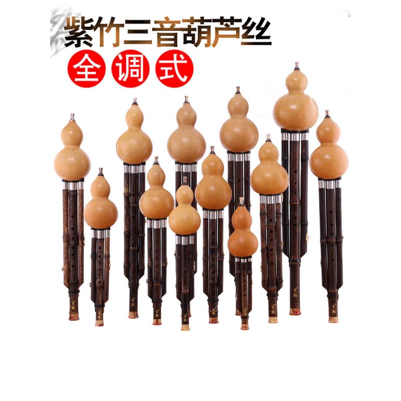 葫芦丝专业演奏型乐器小F/小D/C/降b/A/G/大F/E/降E大D大C大降b调