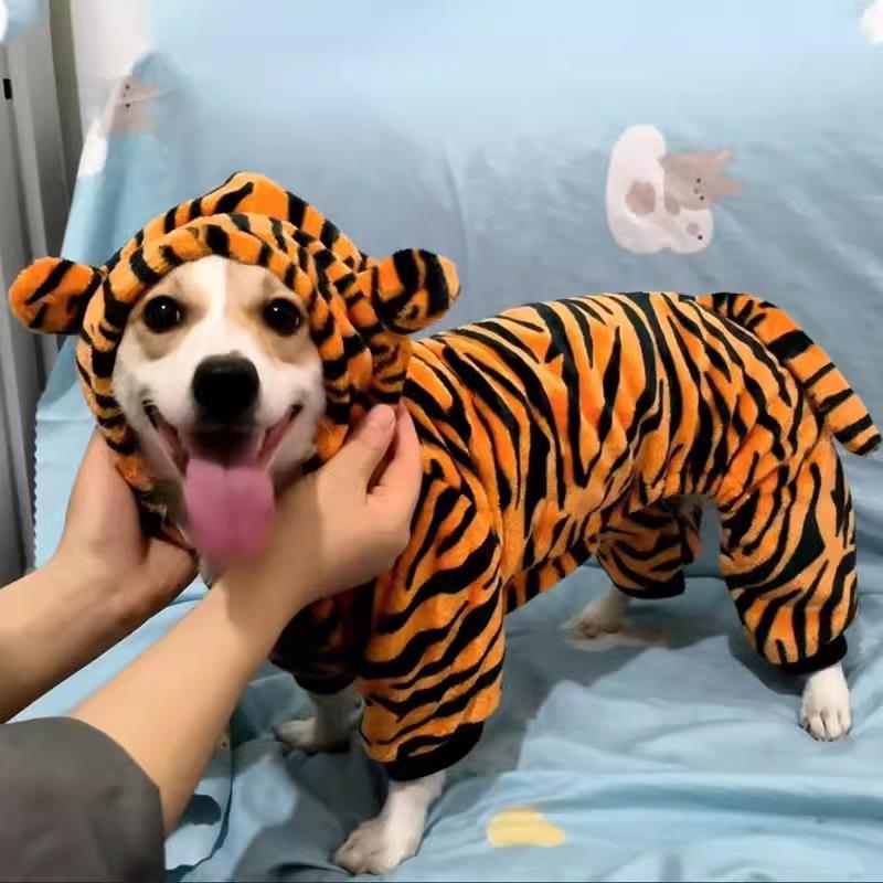 狗狗衣服可爱变身装秋冬保暖柯基泰迪比熊中小型犬宠物猫咪四脚衣