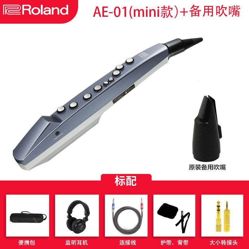 正品Rolnd罗兰电吹乐器AE01C AE0娱5电子萨管克斯乐初学管a乐葫芦