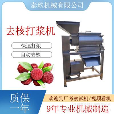 西梅双道打浆机红枣去核打泥设备酸枣去核机木瓜去皮去籽打浆设备