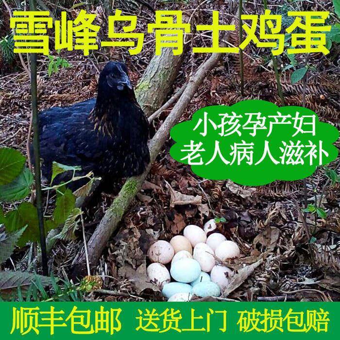 湖南土鸡蛋乌骨鸡蛋绿壳蛋乌骨鸡蛋散养新鲜农家土鸡蛋鹅蛋20个包