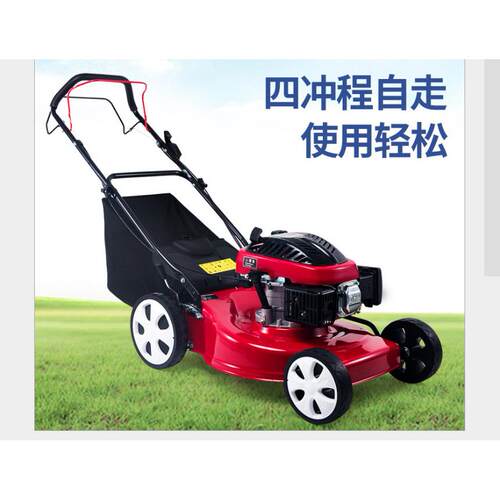 福建手推式家用大功率割草机草坪护理修剪机小型打草机电动除草机