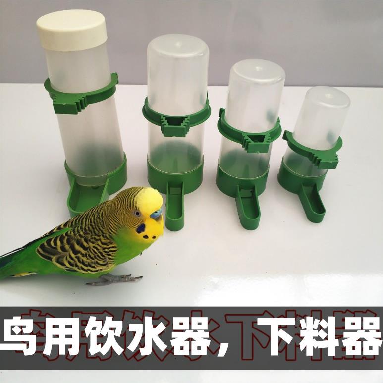 鸟用饮水器自动喂食器八哥鹦鹉防撒鸟食盒喂水喝水器鸟笼配件用品