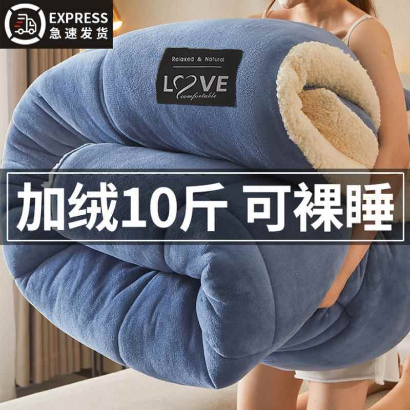 冬季羊羔绒冬被加厚保暖加绒被子被芯双人棉被褥子冬天单人宿舍床