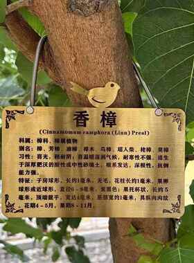 树牌 挂牌 标识牌树木介绍牌防水不锈钢牌刻字景区植物花草介绍牌