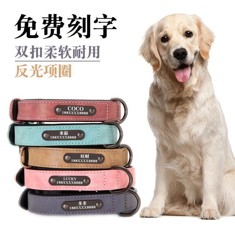 狗狗项圈牵引绳颈圈小型犬中型犬舒适刻字定制狗牌宠物边境牧羊犬