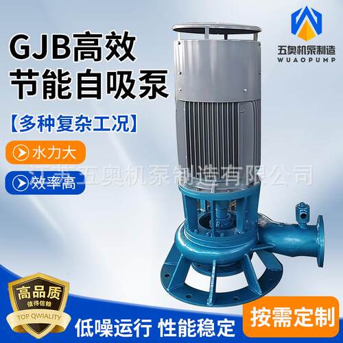 GJB高效节能自吸泵 不锈钢耐腐蚀污水废水泵 立式卧式强自吸泵