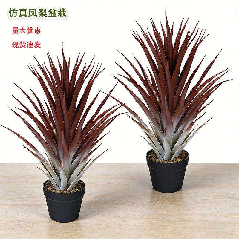 仿真绿植凤梨盆栽热带植物龙舌兰室内装饰摆件商场橱窗造景假绿植