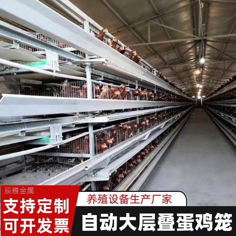 大层叠蛋鸡笼养殖场大棚农场养鸡用全自动上传清粪养殖鸡笼设备