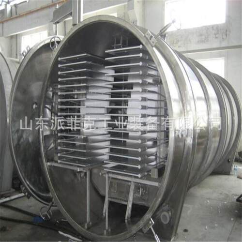 新型100平米苹果冻干机果蔬脆片低温真空冷冻干燥机