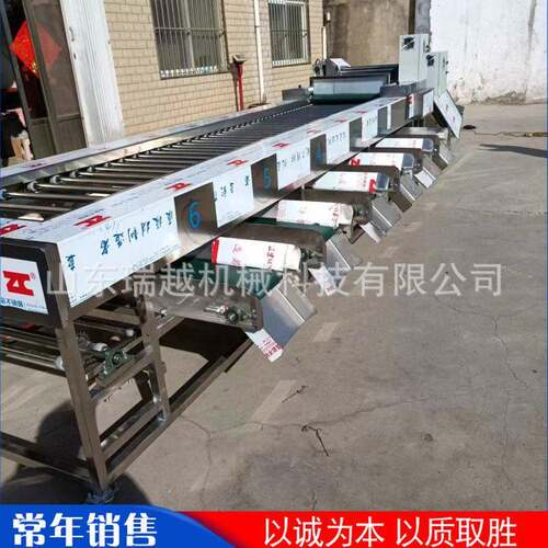 大型瓜果分大小筛选机工业土豆滚杠式筛选机牛油果分级分选机