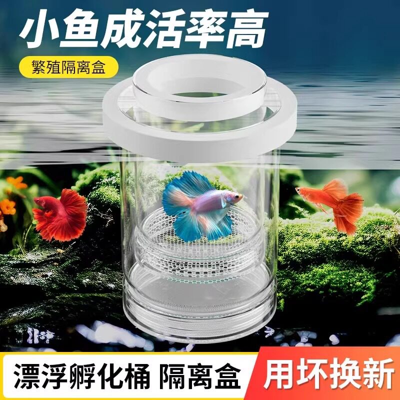 孵化幼鱼透明繁殖隔离孔雀孵化器