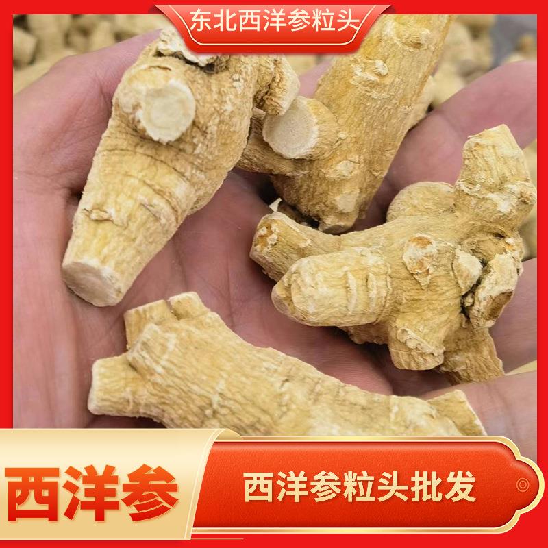 五年软质东北西洋参粒头足龄西洋参段粒头花旗参
