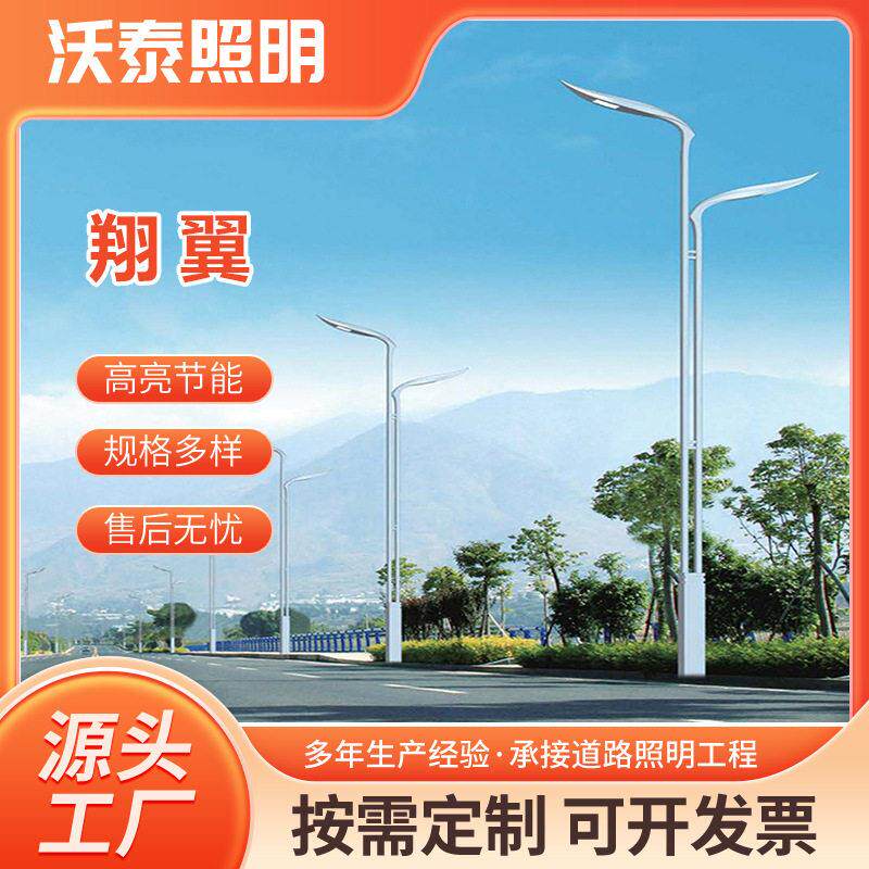 市电路灯6米8米10米12米led臂双臂路灯户外防水led路灯