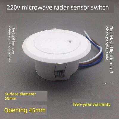探测者220V智能微波雷达感应开关嵌入式人体可控LED灯光控9903B