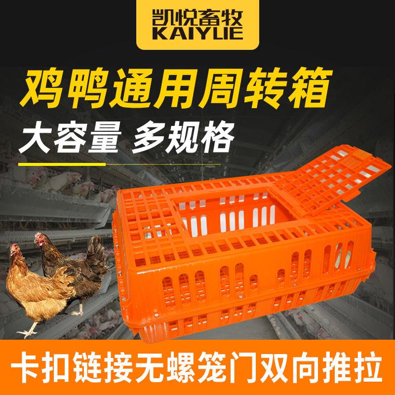 鸡笼周转箱运输筐成鸡鸭周转筐鸡筐家禽运输笼塑料鸡笼大号超大号