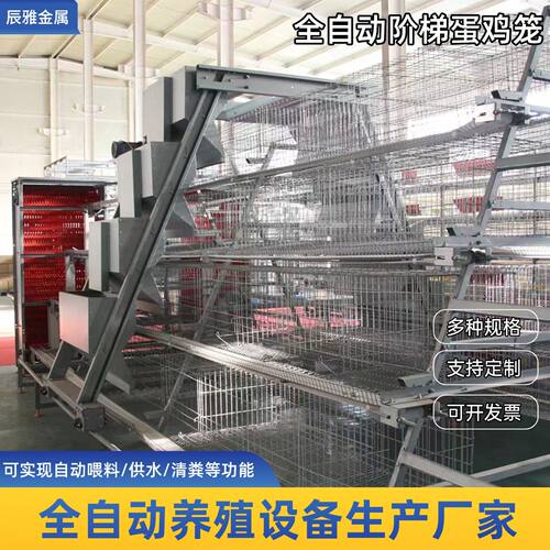 热镀锌阶梯式蛋鸡笼自动喂料供水清粪养殖场家禽用养鸡畜牧设备