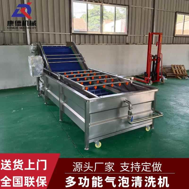 网带自动出料火龙果清洗机三七去泥沙清洗设备枇杷气泡清洗机