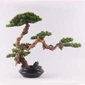 工艺品 饰品家具店松树摆件家居玄关桌软装 创意新中式 仿真迎客松装