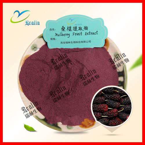 桑葚粉 桑葚果粉 桑葚汁粉 桑葚生粉 西安瑞林生物 现货销售
