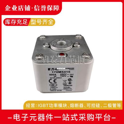 170M6494 170M6495 170M6496 170M6497 170M6498原装快速熔断器