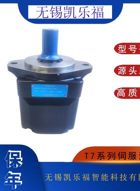 伺服油泵T7DS-E24-5R01-A1-MV丹尼逊叶片泵T7DS-B42-1R02-A1M0
