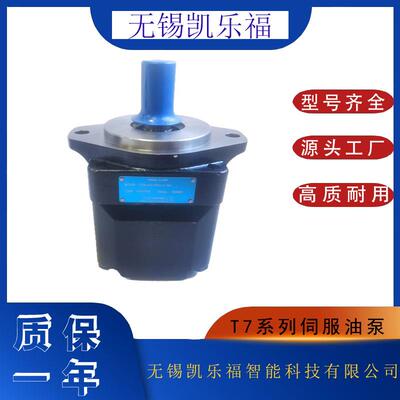 伺服油泵T7DS-E24-5R01-A1-MV丹尼逊叶片泵T7DS-B42-1R02-A1M0