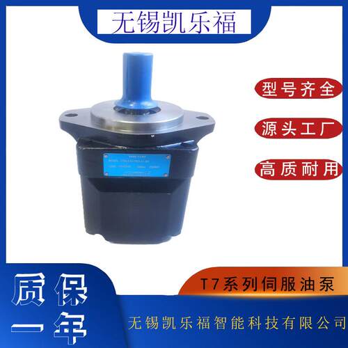 伺服油泵T7DS-E24-5R01-A1-MV丹尼逊叶片泵T7DS-B42-1R02-A1M0