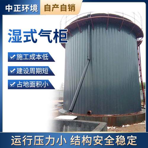 中正提供5000立方双膜沼气储气柜方案湿式气柜厂家气储气柜