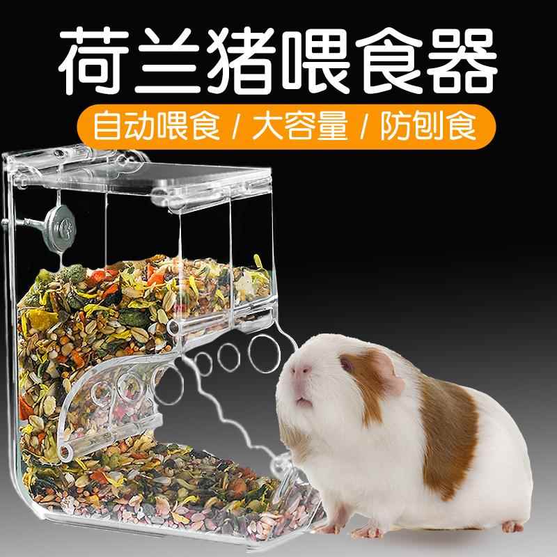 荷兰猪喂 食器食盆豚鼠专用固定饭碗碗粮食自动投喂器松鼠用品大