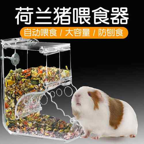 荷兰猪喂 食器食盆豚鼠专用固定饭碗碗粮食自动投喂器松鼠用品大
