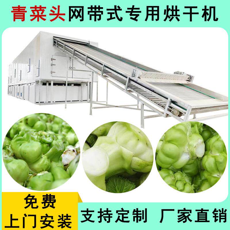 大型豆角烘干设备大头菜扁豆烘干机商用自动网带式中药材烘干房