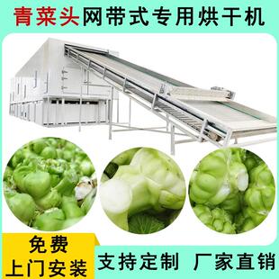 大型豆角烘干设备大头菜扁豆烘干机商用自动网带式中药材烘干房
