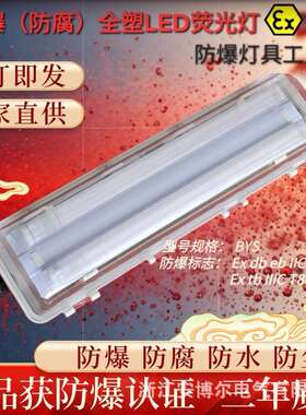 LED吸顶式防爆防腐全塑荧光灯BYS-2*36双管防水防尘BAY平板灯220v