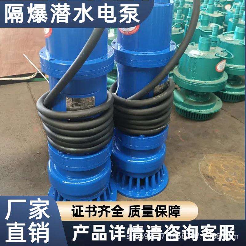煤安证防爆潜水泵矿用隔爆型排污排沙潜水泵矿用潜水BQS15-70-7.5