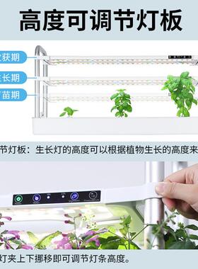 跨境能层多种植机种Z210P菜水机无土栽培智设备培蔬菜种植机室内