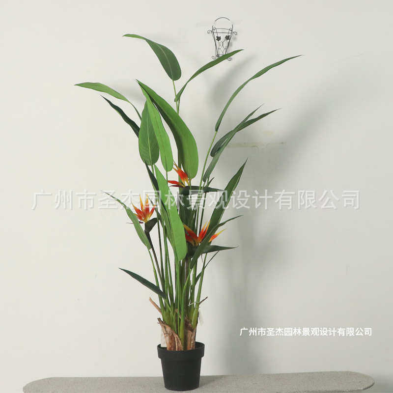 旅人造景造景室外 仿真植园林室内风蕉绿兰仿真简约鹤望植 圣杰绿