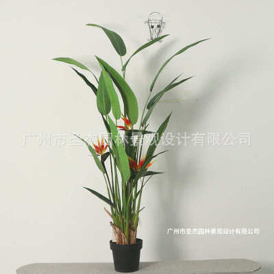 室内造景绿植圣杰园林仿真鹤望兰 仿真旅人蕉 室外造景简约风绿植