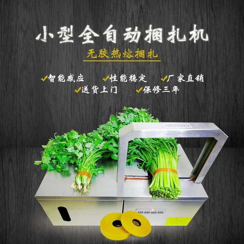 超市蔬菜商店扎带半自动扎口机全自动扎菜机捆扎机包装袋打包机