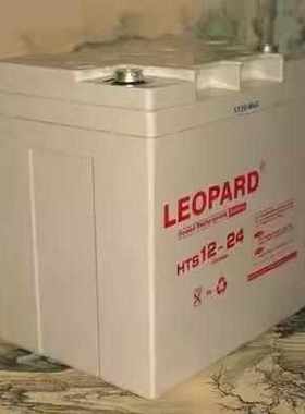 LEOPARD美洲豹蓄电池12V7A24A38A65A100AH消防直流屏UPS应急备用