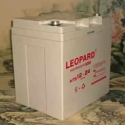 LEOPARD美洲豹蓄电池12V7A24A38A65A100AH消防直流屏UPS应急备用