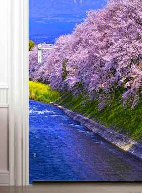 MT195-205小镇建筑装饰门贴自粘仿真木门橱窗玻璃翻新墙贴纸