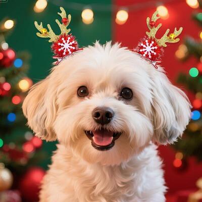 Pet Christmas Headband - Reindeer Antlers Santa Hat for Pets